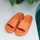 Cloud Slides - Original