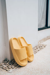 Cloud Slides - Original